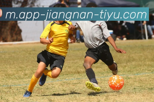 江南体育全站App